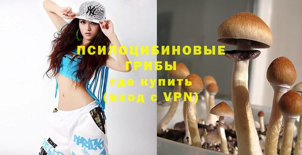 бутират Алексеевка