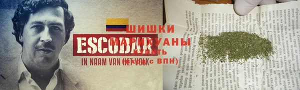 крисы Алзамай