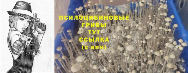 стаф Лихославль