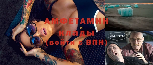 крисы Алзамай
